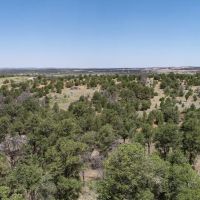 Lindrith Home with Acreage GMU 5A images 3