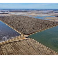 Greenhead Acres images 2