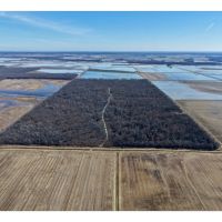 Greenhead Acres images 3