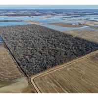 Greenhead Acres images 5