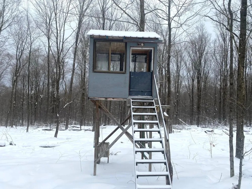 25 acres Wooded Hunting Land and Recreational Land in Scio NY Snowball Hollow Rd featured image
