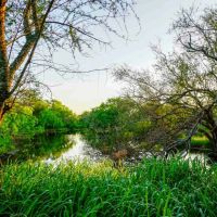 O W Ranch images 2