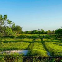 O W Ranch images 3