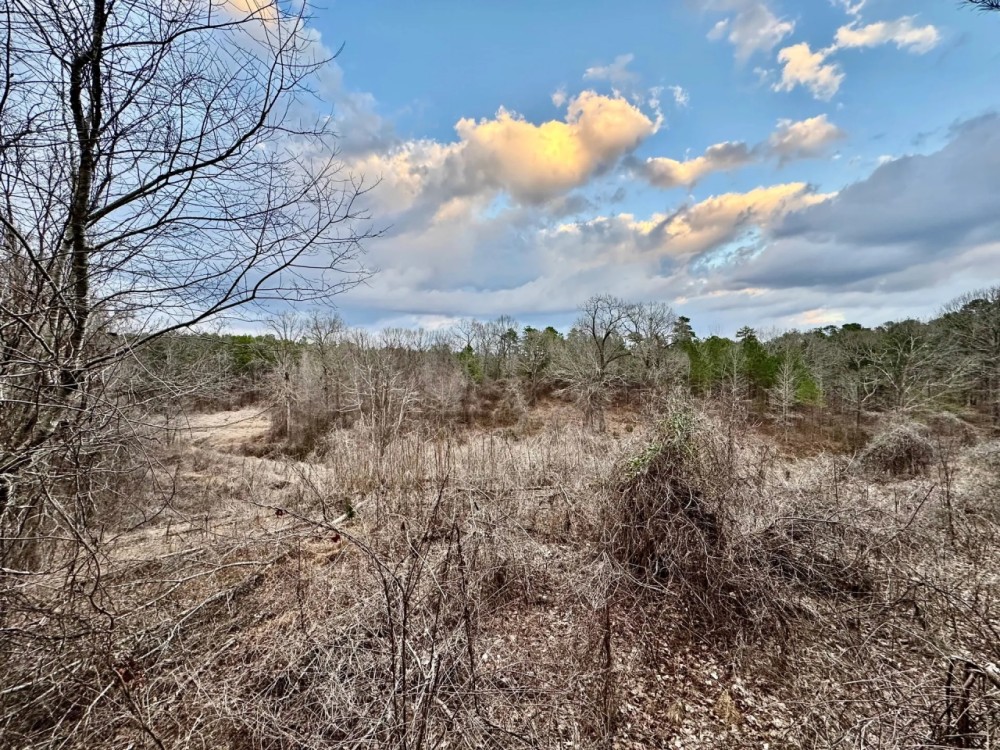 67.5 Acres in Benton County MS featured image