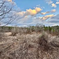 67.5 Acres in Benton County MS