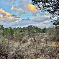 67.5 Acres in Benton County MS images 2