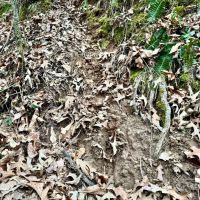 67.5 Acres in Benton County MS images 4