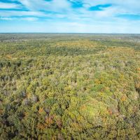 Cedar Ford Timber 110 images 2
