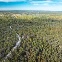 Cedar Ford Timber 110 images 5