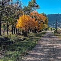 Mountain View Farm images 2