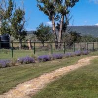 Mountain View Farm images 3