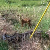 Mountain View Farm images 4
