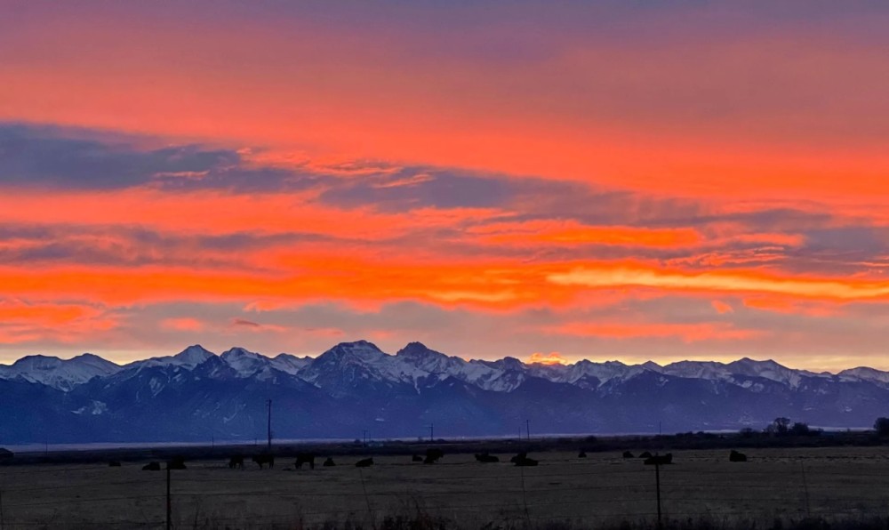 Saguache Colorado Ranch For Sale featured image