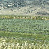 Saguache Colorado Ranch For Sale images 5