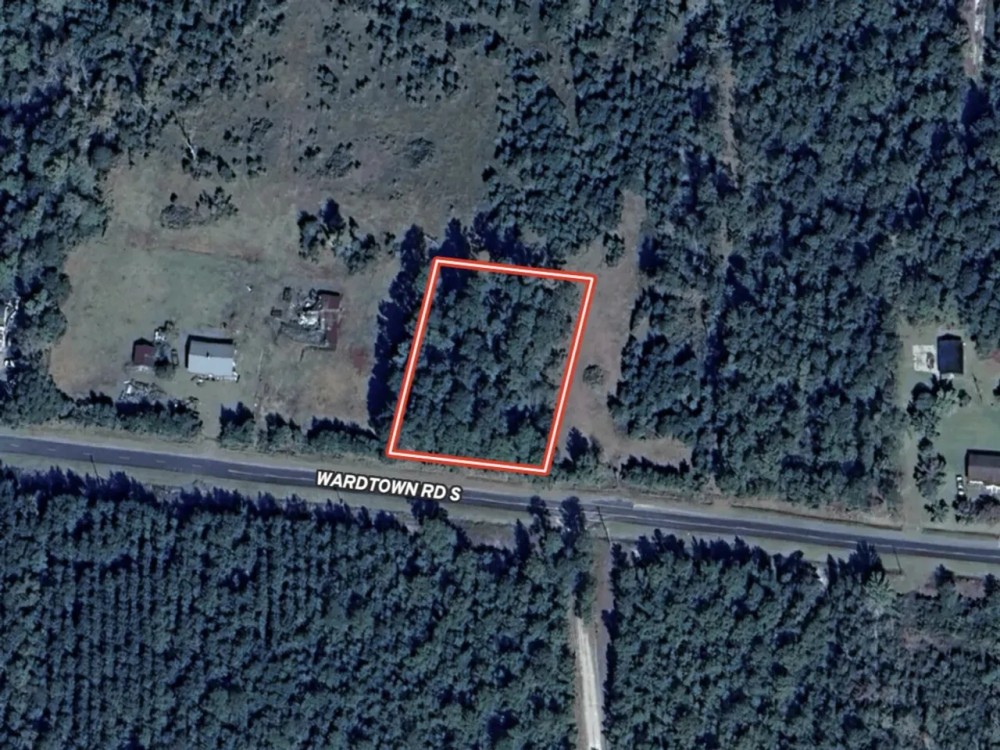 1 Acres of Residential and Recreational Land For Sale in Columbus County NC featured image