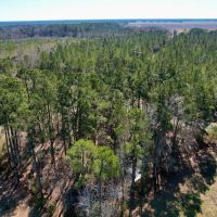 1 Acres of Residential and Recreational Land For Sale in Columbus County NC images 5