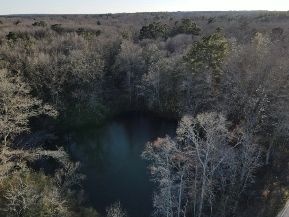 27 Acres in Jefferson Davis County MS featured image