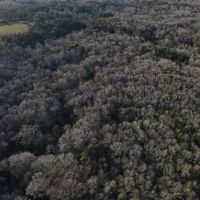 27 Acres in Jefferson Davis County MS images 3