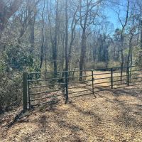 27 Acres in Jefferson Davis County MS images 5