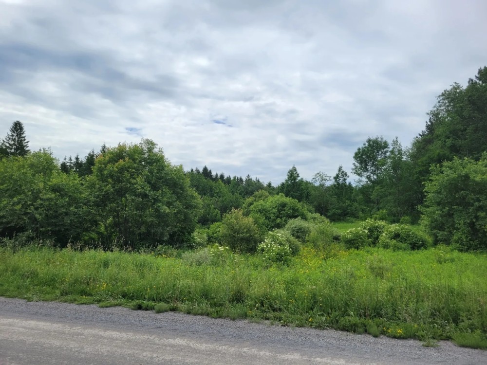 10 acre Northern Recreational Land Watertown NY featured image