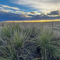 166.9 Acres - Elbert County CO - Near Deer Trail CO images 4