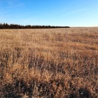 Cheyenne Co. NE 807.2 CRP Pasture Older Homestead Online Phone Auction