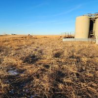Cheyenne Co. NE 807.2 CRP Pasture Older Homestead Online Phone Auction images 4