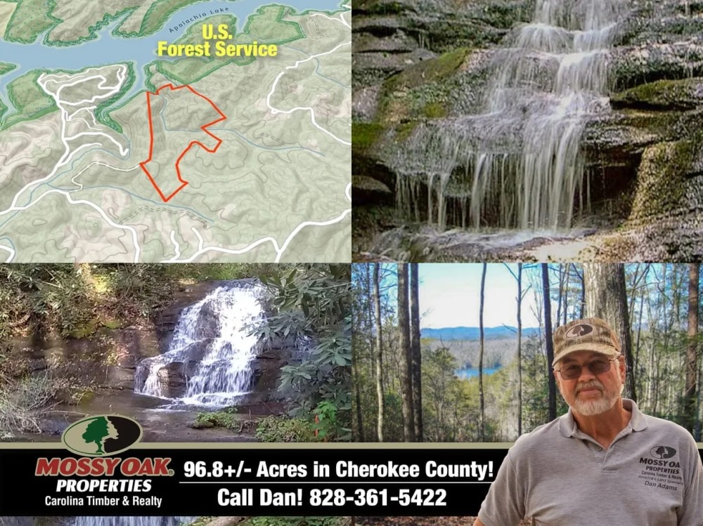 96.85 - Lakefront Acres Unrestricted USFS Boundary RV Tiny Homes Animals all OK featured image