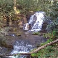 96.85 - Lakefront Acres Unrestricted USFS Boundary RV Tiny Homes Animals all OK images 2