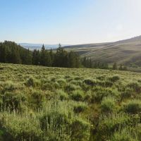 Tomichi Dome Hunting Ranch images 4