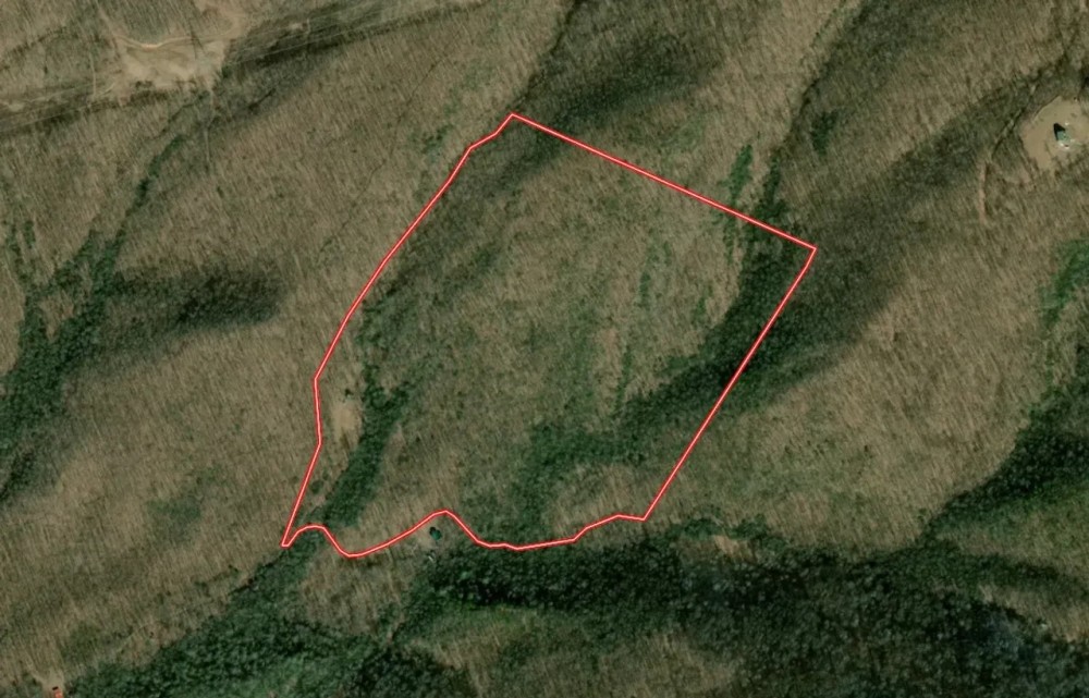 64.04 acres of Hunting and Recreational Land in Bland Tazewell Counties VA featured image