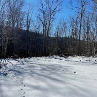 64.04 acres of Hunting and Recreational Land in Bland Tazewell Counties VA images 5