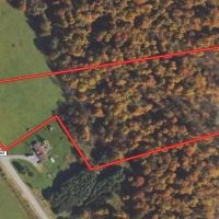 12 acres Hunting Land and Recreational Land with Building Lot in Ripley NY Post Road images 2