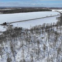 12 acres Hunting Land and Recreational Land with Building Lot in Ripley NY Post Road images 3
