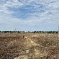 51 Acres in Kemper County MS