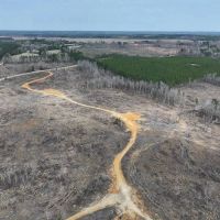 51 Acres in Kemper County MS images 2