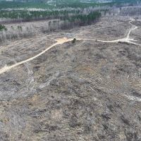 51 Acres in Kemper County MS images 3