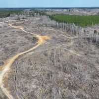 51 Acres in Kemper County MS images 5