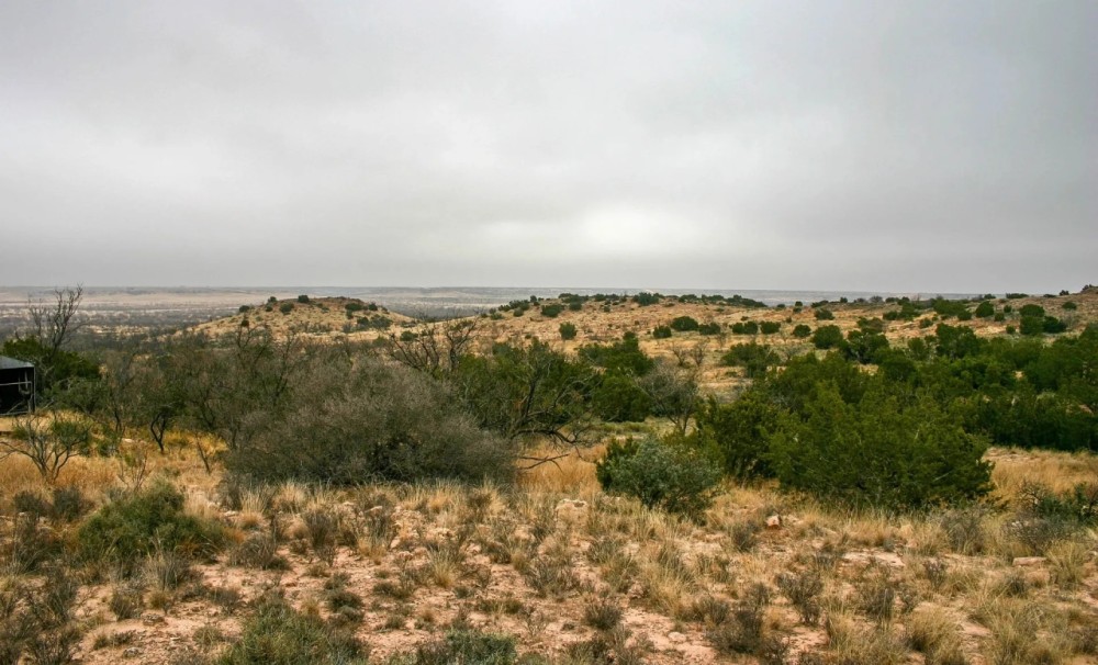 Echols Ranch featured image