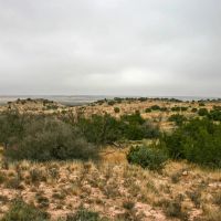 Echols Ranch images 1