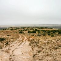 Echols Ranch images 3