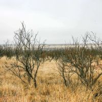 Echols Ranch images 4