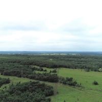 138 Acre Oklahoma Cattle and Hunting Land Kiowa OK images 4