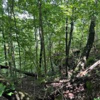 Lot 89 Bobcat Ln