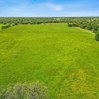 135 acres CR 221 Weimar TX Colorado County images 3