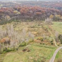 45 - Acres at TBD Rt. 108 Carlinville IL images 5