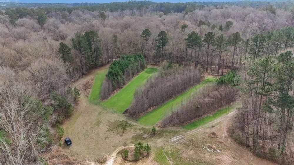 70 Acres Hunting Land Bordering Homochitto National Forest featured image