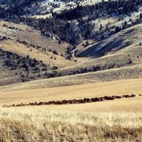Axes Canyon Ranch images 4