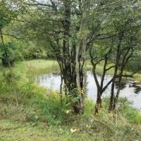 6 acres Off-Grid Recreational Property with Pond and Views in Andover NY 1868 Hess Rd images 2