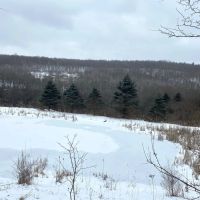 6 acres Off-Grid Recreational Property with Pond and Views in Andover NY 1868 Hess Rd images 4
